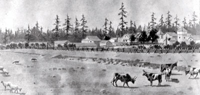 Artist's Drawing of Ft. Nisqually